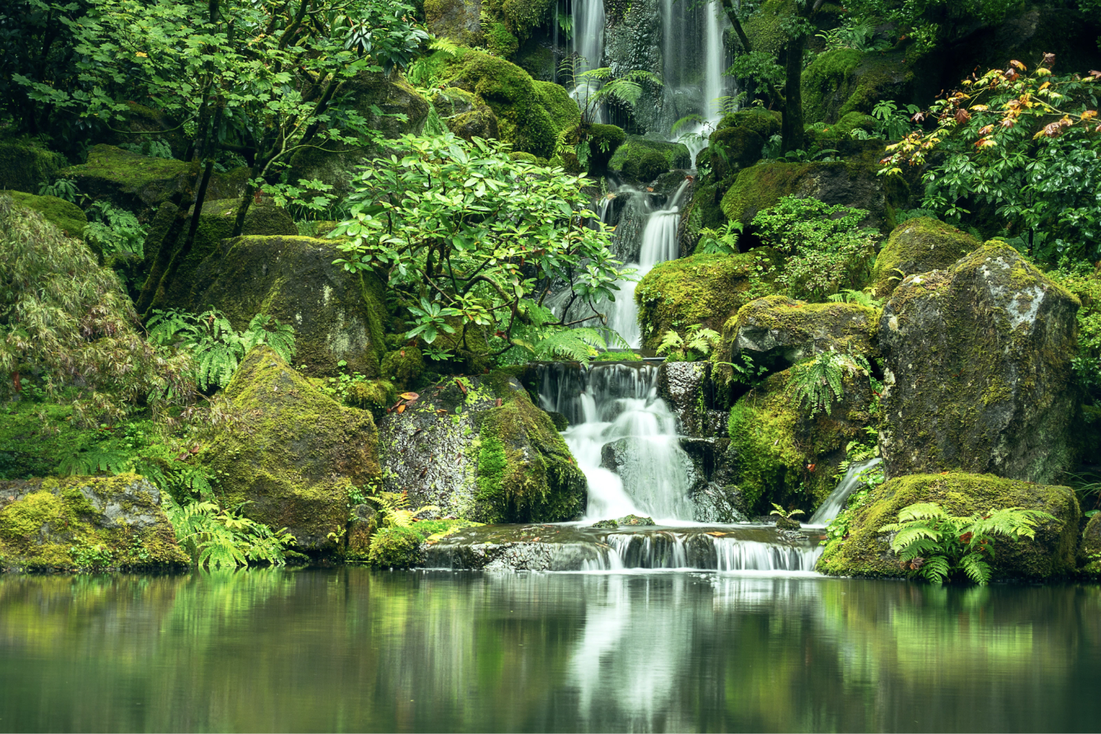 Dascade with lush vegetation