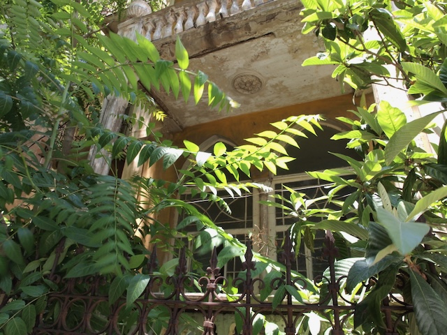 Lush greenery covering an old building