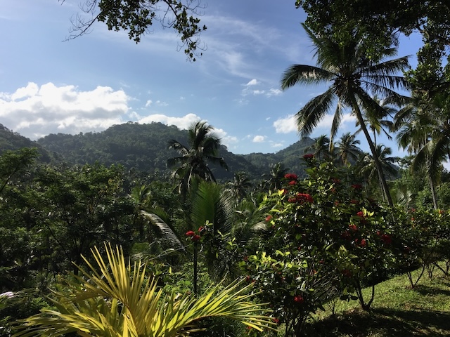 Lush greenery and mountains