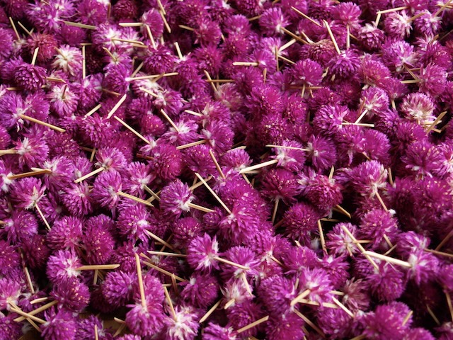 Dried flowers