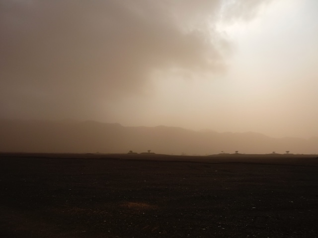 Desert in the storm