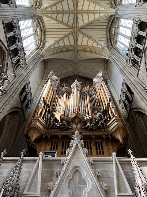 Organ in a church