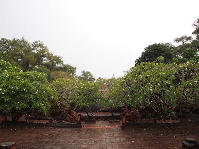 Rain over pavement and green trees